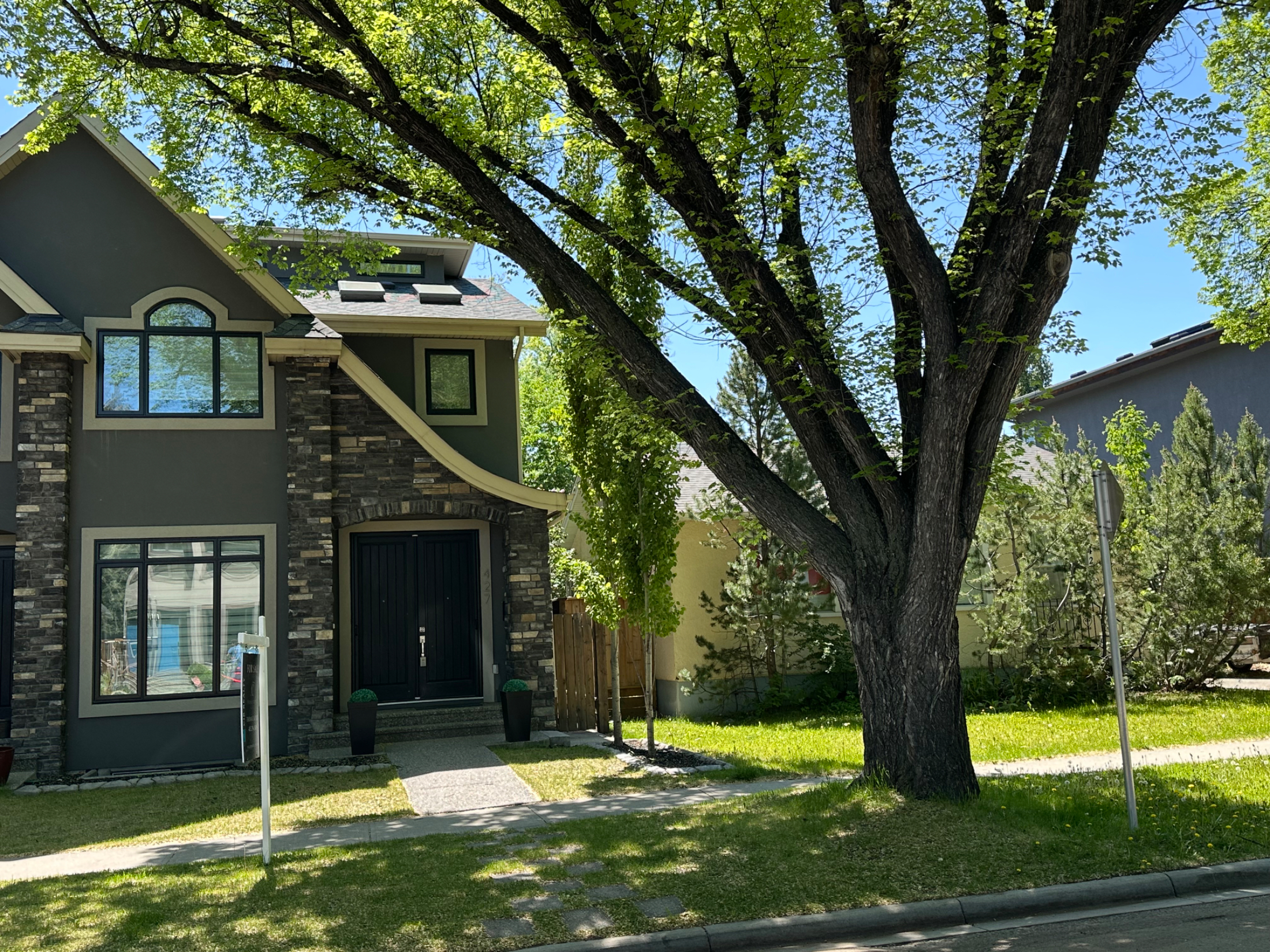 🎉 PURCHASED   🎉